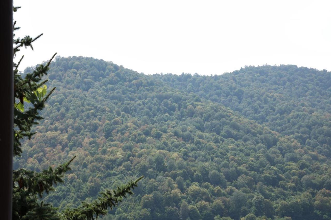 Arevatun Dilijan Exterior foto